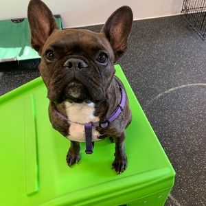 Meet your Posher, Marina